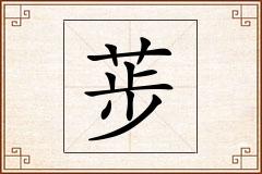 荹怎么写