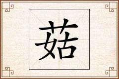 菇怎么写