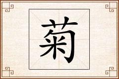 菊怎么写