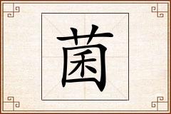 菌怎么写