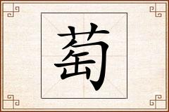 萄怎么写