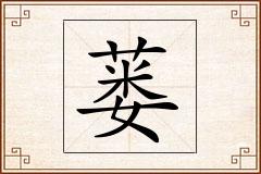 蒌怎么写