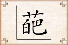 葩怎么写