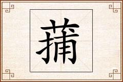 蒱怎么写