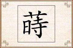 蒔怎么写