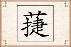 蓵怎么写