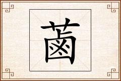 蓾怎么写