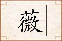 薇怎么写