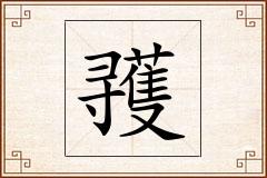 彟怎么写