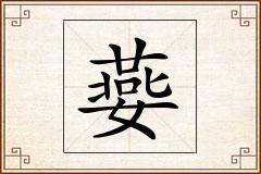 嬊怎么写