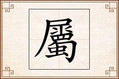 屬怎么写