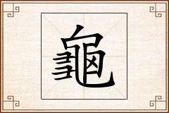 龜怎么写