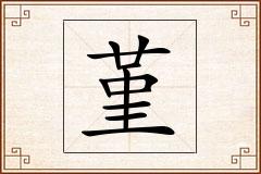 堇怎么写