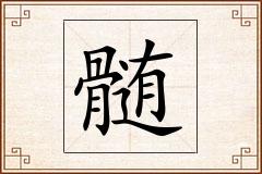 髄怎么写