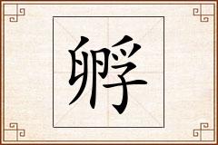 孵怎么写