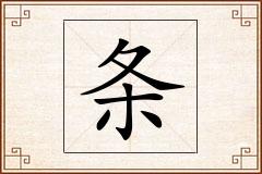 条怎么写