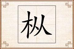 枞怎么写
