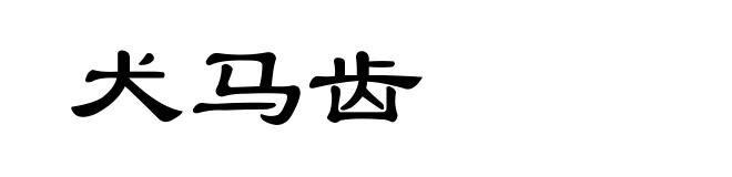 犬马齿