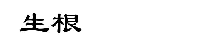 生根