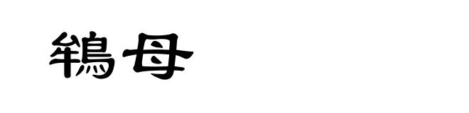 鴾母