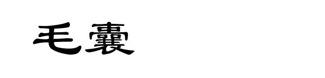 毛囊