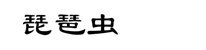 琵琶虫
