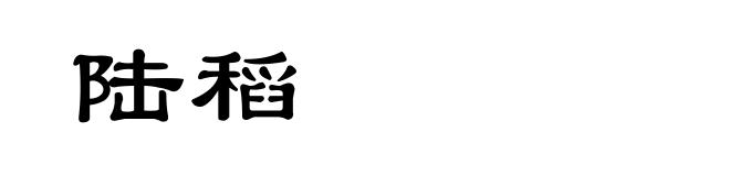 陆稻