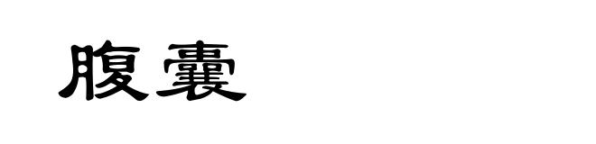 腹囊