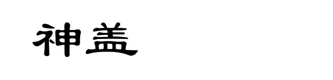 神盖