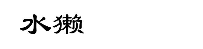 水獭