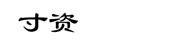 寸资