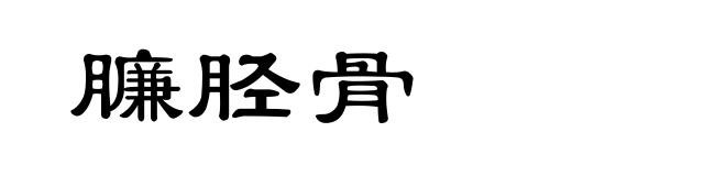 臁胫骨