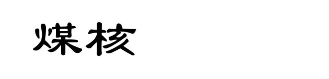 煤核