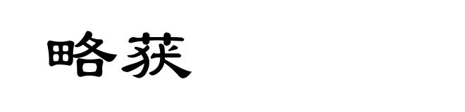 略获
