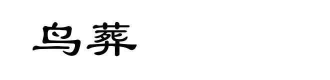 鸟葬
