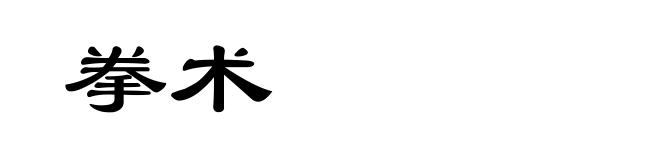 拳术