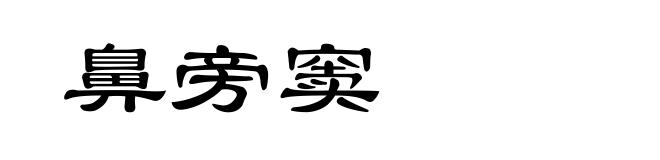 鼻旁窦