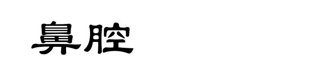 鼻腔