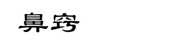 鼻窍