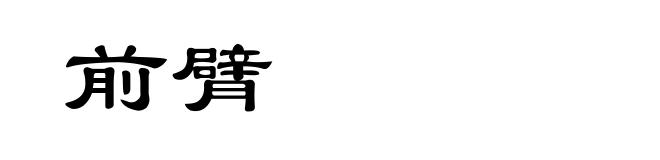 前臂