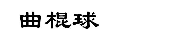 曲棍球
