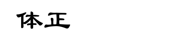 体正