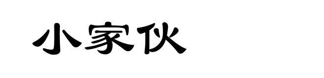 小家伙