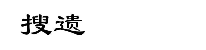 搜遗