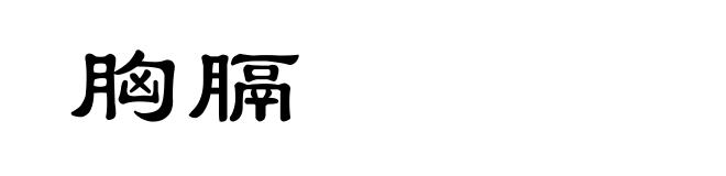胸膈