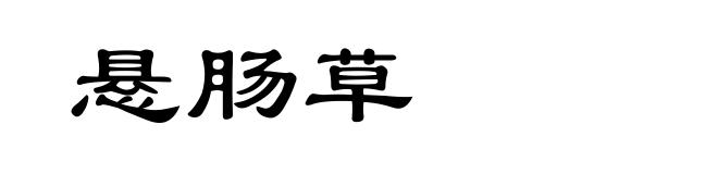 悬肠草