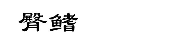 臀鳍