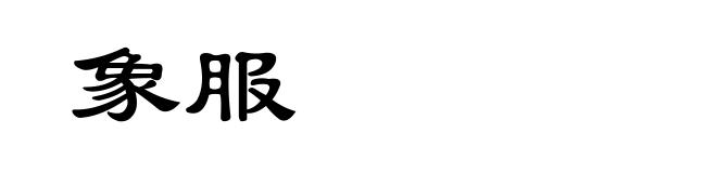 象服