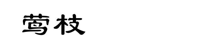 莺枝
