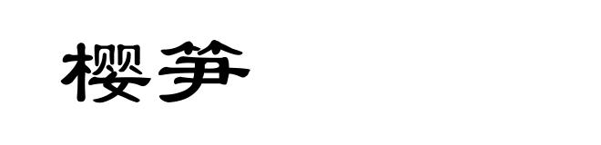 樱笋